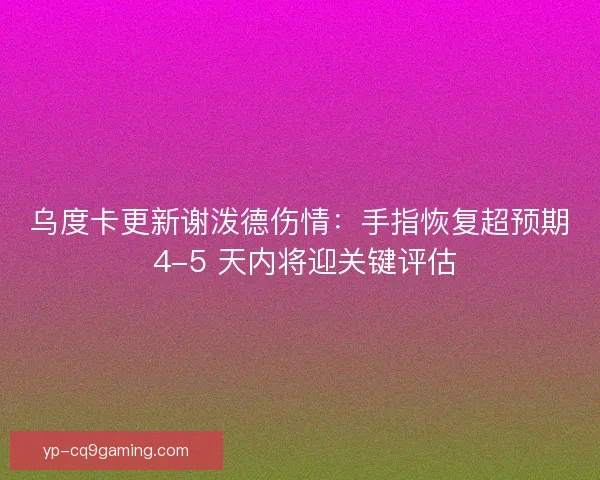 乌度卡更新谢泼德伤情：手指恢复超预期 4-5 天内将迎关键评估